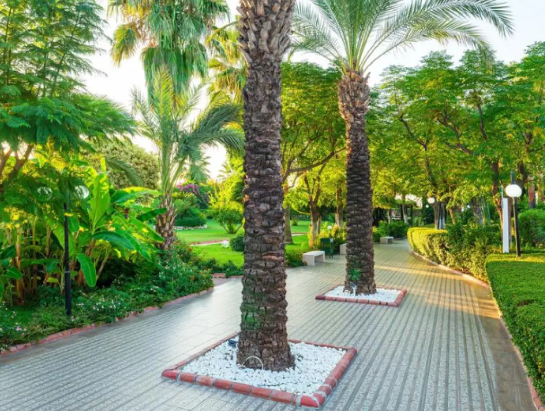 AYDIN BEY OTEL