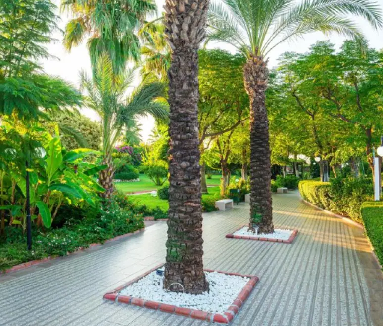AYDIN BEY OTEL